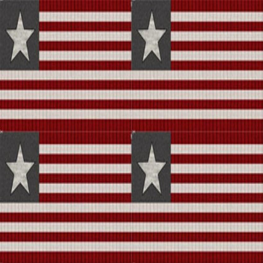 12" X 44" Panel Cotton My America Flags Patriotic USA 4th of July Multicolor Fabric Panel (C24008-92) by Northcott