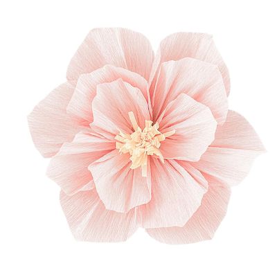 10pcs Large Crepe Paper Flowers 11.8 Inch Handcrafted Giant Crepe Flower Decorations for Party Wedding Birthday Backdrop Wall Decor, (Peach)
