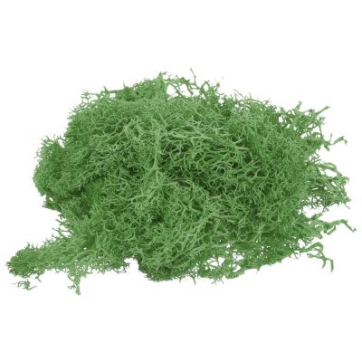 Home and Garden Parts 7 OZ Fake Moss Preserved Decorative Moss with Box for Potted Plants Green #CN/251024/11467