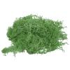 Home and Garden Parts 7 OZ Fake Moss Preserved Decorative Moss with Box for Potted Plants Green #CN/251024/11467 view 1