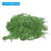 Home and Garden Parts 7 OZ Fake Moss Preserved Decorative Moss with Box for Potted Plants Green #CN/251024/11467 view 2