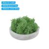 Home and Garden Parts 7 OZ Fake Moss Preserved Decorative Moss with Box for Potted Plants Green #CN/251024/11467 view 3