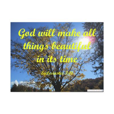 Ecclesiastes 3:11 Canvas (30x40)