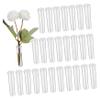 Happyyami 100pcs Floral Water Tubes Flower Stem Water Vials for Fresh Flower Care Centerpiece Vase Fillers Home Plants view 1