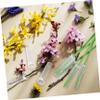 Happyyami 100pcs Floral Water Tubes Flower Stem Water Vials for Fresh Flower Care Centerpiece Vase Fillers Home Plants view 3