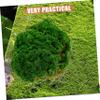 IWOWHERO Artificial Moss Turf Fake Moss for Planters Accessory DIY Garden Decor view 2