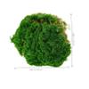 IWOWHERO Artificial Moss Turf Fake Moss for Planters Accessory DIY Garden Decor view 3