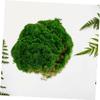IWOWHERO Artificial Moss Turf Fake Moss for Planters Accessory DIY Garden Decor view 4