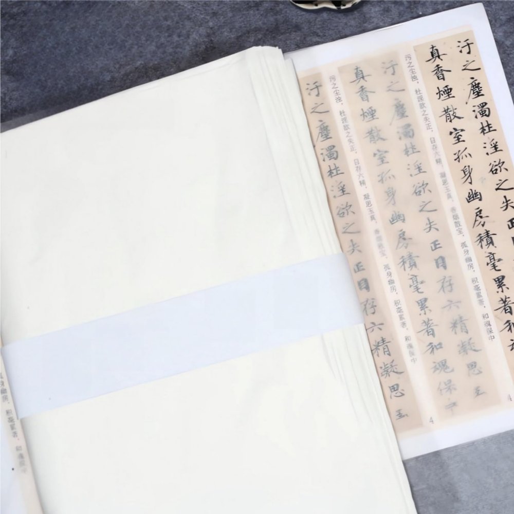 100 Sheets Cicada Wing Rice Paper - Handmade Bamboo Pulp Xuan Paper for Mixed Media, Gelli Printing & Calligraphy - Ultra-Thin, Strong & Translucent Art Paper for Collage, Layering & Journaling