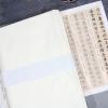 100 Sheets Cicada Wing Rice Paper - Handmade Bamboo Pulp Xuan Paper for Mixed Media, Gelli Printing & Calligraphy - Ultra-Thin, Strong & Translucent Art Paper for Collage, Layering & Journaling view 1