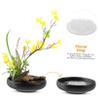 HAPINARY Flower Frog Flower Arrangement Holder Suction Cup Arranger Holder Accessory Sturdy view 4
