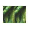 Blank Cards and Envelopes, Green Snakeskin, Blank Greeting Cards, Blank Cards for All Occasion - White view 3
