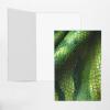 Blank Cards and Envelopes, Green Snakeskin, Blank Greeting Cards, Blank Cards for All Occasion - White view 4