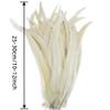 100Pcs 25-40Cm Rooster Feathers Wedding Crafts DIY Natural Feather Handwork Party Carnival Headwear Decoration view 3