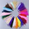 100Pcs/Lot Ostrich Feathers Tassels for Jewelry Making 10-18m Feathers Wedding Dress Decoration DIY Crafts view 2