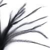 100Pcs/Lot Ostrich Feathers Tassels for Jewelry Making 10-18m Feathers Wedding Dress Decoration DIY Crafts view 4