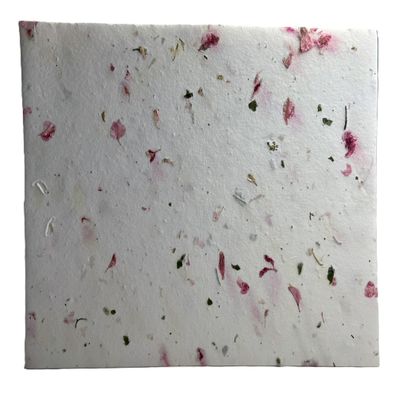 Of The Earth Handmade Paper - Wildflower Seed Card Stock Cotton/Lotka Fiber Sheet - 8.5" x 11" - Embedded w/Seeds & Petals - Set of 8 (52s Pink & Chard)