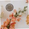 CORHAD 3pcs Flower Arrangement Tool Needle Floral Holder for Garden Supplies Create Stunning Floral Art Design for Home Decor and Events view 2