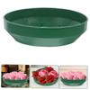 Angoily Flower Arrangement Trays Round Needle Plate 4 Pack Foam Trays for Floral Decorations view 2