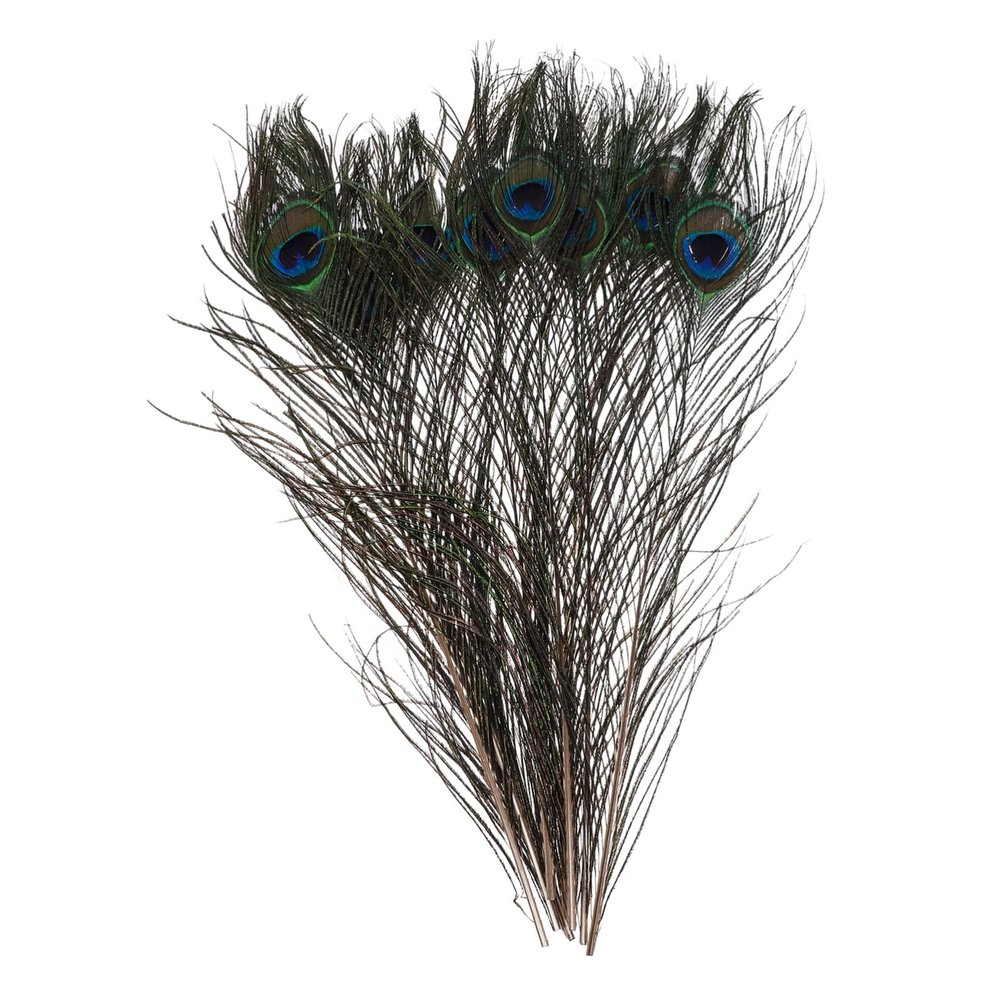 jojofuny 10pcs Natural Peacock Plumes for Craft Home Decor Wedding Party Decoration Vibrant for Unique Bouquets and Centerpieces