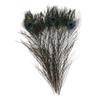 jojofuny 10pcs Natural Peacock Plumes for Craft Home Decor Wedding Party Decoration Vibrant for Unique Bouquets and Centerpieces view 1