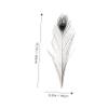 jojofuny 10pcs Natural Peacock Plumes for Craft Home Decor Wedding Party Decoration Vibrant for Unique Bouquets and Centerpieces view 2