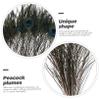 jojofuny 10pcs Natural Peacock Plumes for Craft Home Decor Wedding Party Decoration Vibrant for Unique Bouquets and Centerpieces view 3