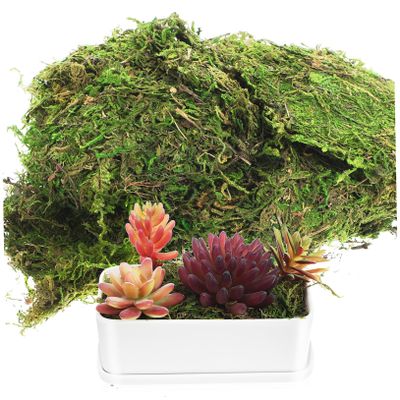 SOLUSTRE 200g Faux Green Stained Moss for Indoor Plants and Crafts Versatile Decorative Filler for Centerpieces Weddings and Artificial Decor