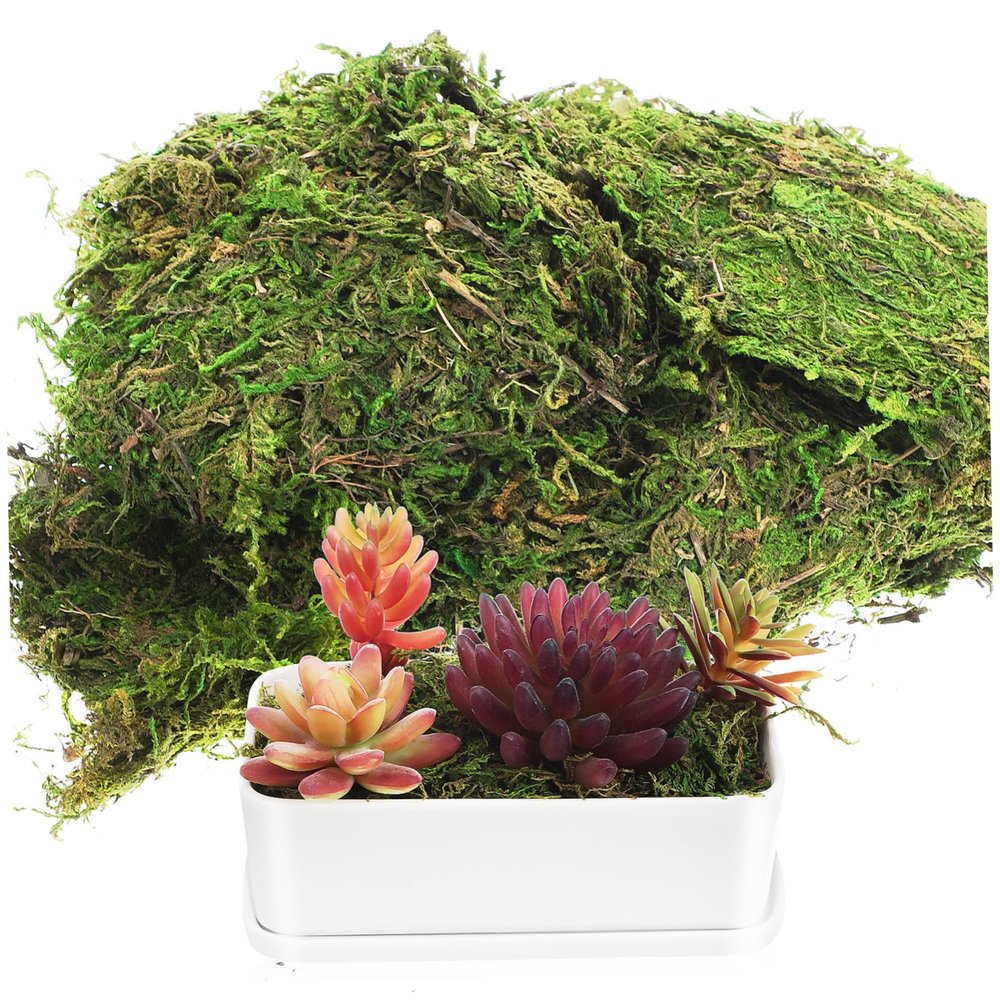 SOLUSTRE 200g Faux Green Stained Moss for Indoor Plants and Crafts Versatile Decorative Filler for Centerpieces Weddings and Artificial Decor