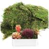 SOLUSTRE 200g Faux Green Stained Moss for Indoor Plants and Crafts Versatile Decorative Filler for Centerpieces Weddings and Artificial Decor view 1