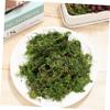 SOLUSTRE 200g Faux Green Stained Moss for Indoor Plants and Crafts Versatile Decorative Filler for Centerpieces Weddings and Artificial Decor view 4