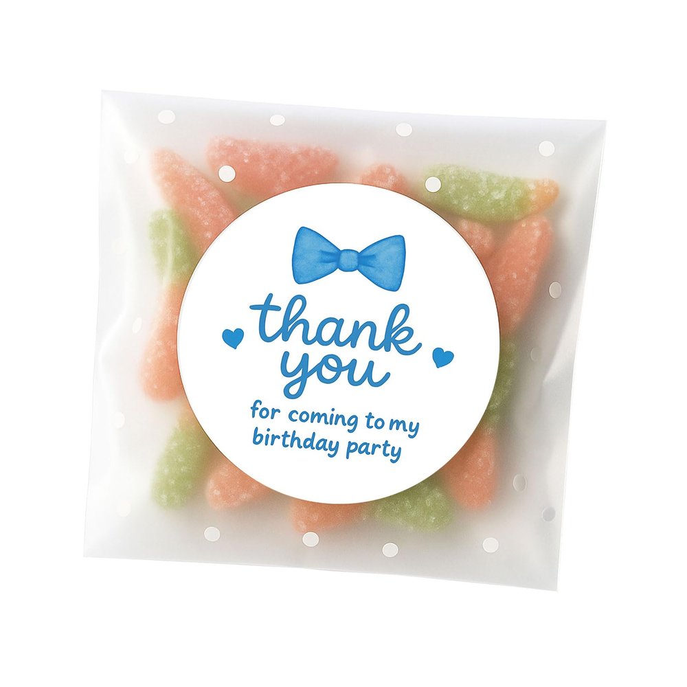 120 x Thank You for Coming to My Birthday Party Sweet - Style Stickers for Boys Birthday Parties, Envelope Stickers for Birthday Party Invitation (Blue)