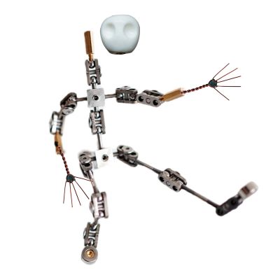 BAIYITONGDA DIY Stop Motion Armature Kits with Hands and Skull, Metal Puppet Figure Skeletons Metal for Character Design Creation/Ready Studio Armature Kits for Stop Motion Animation,14cm
