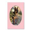 14x18 Matting for 11x14 Oval Photograph or Artwork 4-Ply Bevel Cut Acid Free Matboard for Picture framing (Pink) view 2