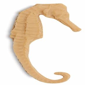 Gyotaku Fish Printing Replica - Sea Horse