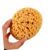 CALLARON 4pcs Textured Wall Sponge Set for Drywall Repair and Painting Removable Texture Applicator for Home Decor and Ceiling Texture Restoration view 3
