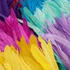 2M Tail Feathers Rooster Feather Trim for Halloween Dress Crafts Wings Cape Craft Decoration Gold 2M 25-30cm view 4
