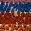 53-pcs 5mm Tall Diorama-Flowers-Grass Irregular Flower Clusters-Peach Blossom Pink Static-Grass for Model-Train-Scener Wargaming-Terrain Dioramas & DIY Crafts view 4
