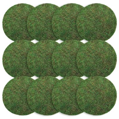 Canlierr 12 Pack Dried Moss Mats Sheets for Crafts, 10/12 Inch Round Green Preserved Moss Placemats for Wedding Party Birthday DIY Garden Plants Decor Home Table Decoration(12 Inch)