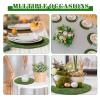 Canlierr 12 Pack Dried Moss Mats Sheets for Crafts, 10/12 Inch Round Green Preserved Moss Placemats for Wedding Party Birthday DIY Garden Plants Decor Home Table Decoration(12 Inch) view 3
