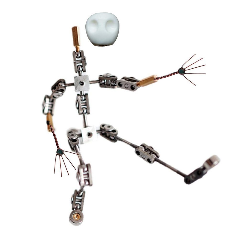 AISINILALAO 12Cm-18Cm Metal Puppet Figure Skeleton Stop Motion Armature Kits, DIY Stop Motion Armature Kits Hand with Wire and Skull for Animated Character Design,16CM