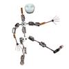 AISINILALAO 12Cm-18Cm Metal Puppet Figure Skeleton Stop Motion Armature Kits, DIY Stop Motion Armature Kits Hand with Wire and Skull for Animated Character Design,16CM view 1
