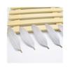 1000Pcs Swan Feathers Accessory with Metal Clasp, Natural Goose Feather Accessories 2.83.5In for Crafts DIY Costumes Halloween Hat Mask Jewelry Decor Instant Decoration (Grey) view 1