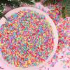 DIYASY 180g Fake Sprinkles, 6.35 oz Non-Edible Resin Sprinkles Faux Plastic Candy Sprinkle Polymer Clay Slices for Nail Art DIY Crafts Cake Phone Case view 2