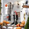 Halloween Skeleton Life Size Imitation Skeleton,165cm Pirate Styling Halloween Pose Skeleton Prop Decoration 170cmPosable Joints For Haunted Houses & Cemeteries & Other Terrifying Atmospheres view 2