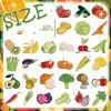 30 Pcs Diamond Art Painting Magnets Kits Vegetables Magnetic Fridge Diamond Art Painting Kits Cute Small Fridge Magnet 5d Round Full Drill Gem DIY Craft Paint by Dots for Adult Beginner Gifts Home view 3