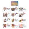 2026 DIY Diamond Art Painting Desk Calendar, Paper Standing Monthly Flip Planner with to-Do List, Sparkling Tabletop Ornament for Home Office Desk Decor, Unique Craft Gift view 3