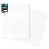 Canvas Boards 2-Pack 16"x20" Flat Canvas Panels, Primed Polyester-Cotton Blank Canvas Set for Painting, Acrylic, Oil, Gouache & Tempera, Art Supplies for Students, Beginners & Home Studio view 1