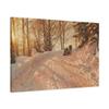 Peder Mrk Mnsted (18591941) Winter Landscape with Horse - 1918 - Canvas Wall Art view 2