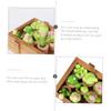 OSALADI 8pcs Cactus Needle Felt Kit Wool Felting Starter for DIY Mini Ornaments Home Decoration Handmade Craft Materials with Texture Suitable for Beginners view 3